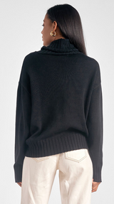 Ski Turtleneck Sweater