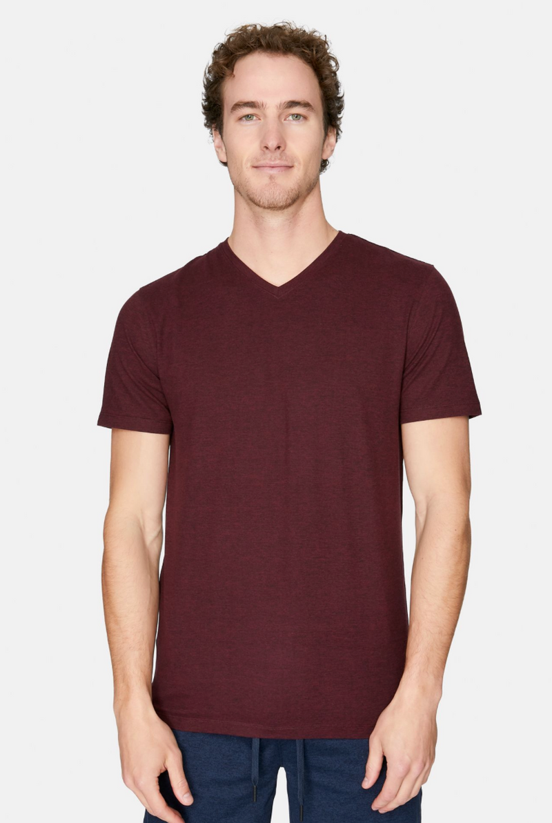 V-Neck Shirt